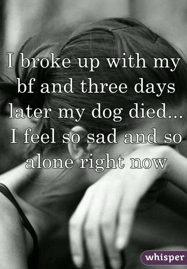 I broke up with my bf and three days later my dog died... I feel so sad and so alone right now