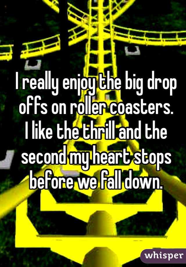 I really enjoy the big drop offs on roller coasters. 
I like the thrill and the second my heart stops before we fall down.
