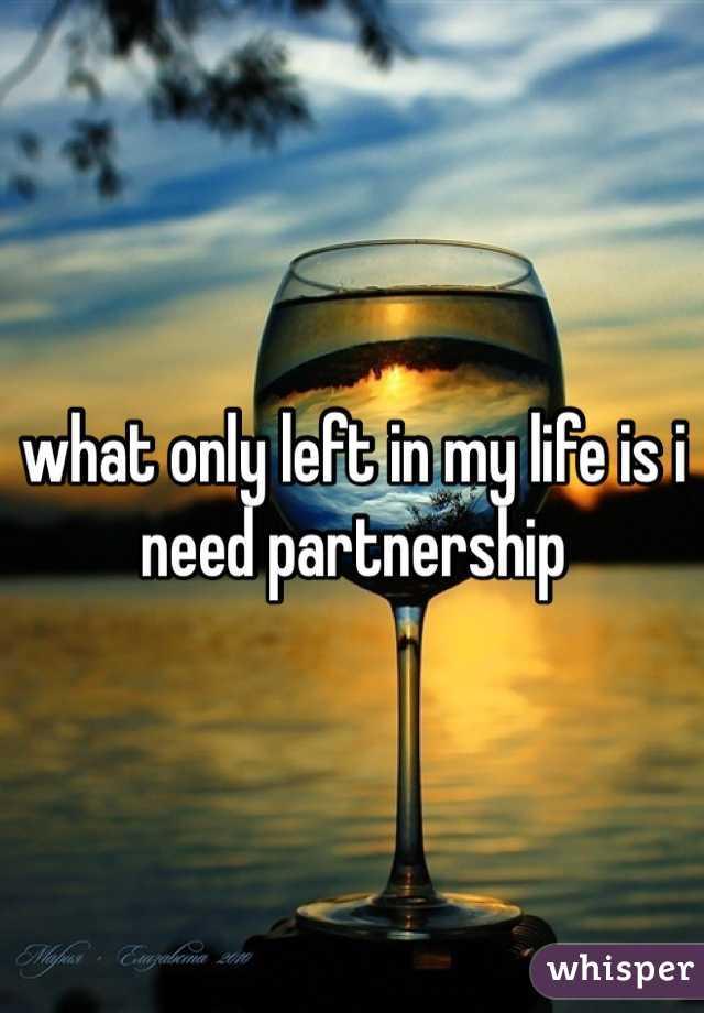 what only left in my life is i need partnership 