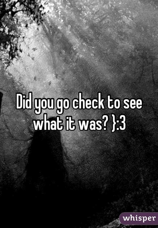 Did you go check to see what it was? }:3