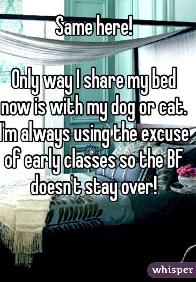 Same here! 

Only way I share my bed now is with my dog or cat. I'm always using the excuse of early classes so the BF doesn't stay over! 