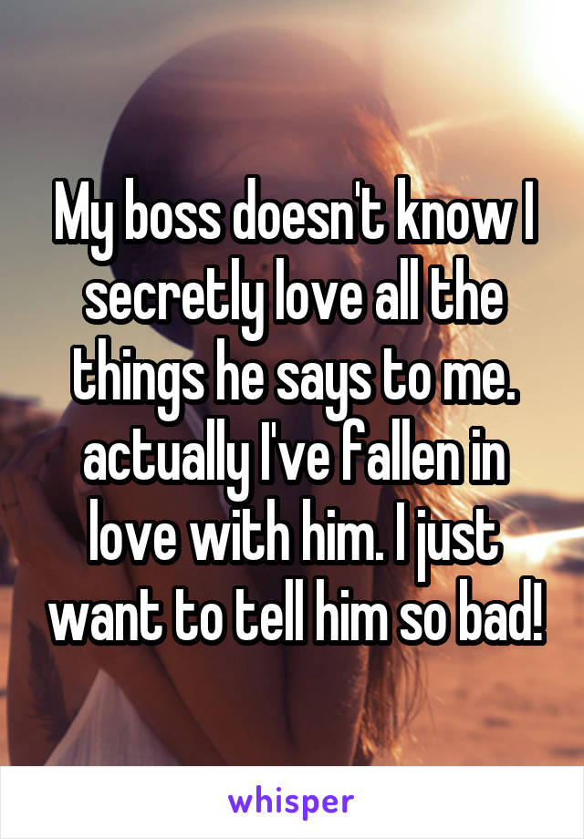 My boss doesn't know I secretly love all the things he says to me. actually I've fallen in love with him. I just want to tell him so bad!