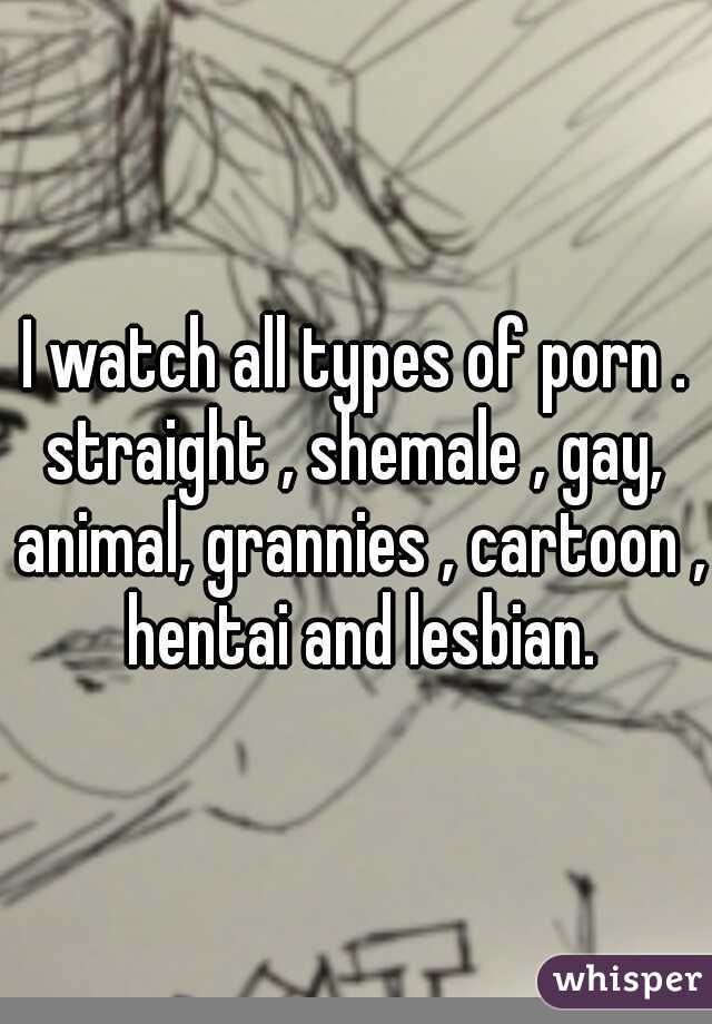 I watch all types of porn . straight , shemale , gay,  animal, grannies , cartoon , hentai and lesbian.