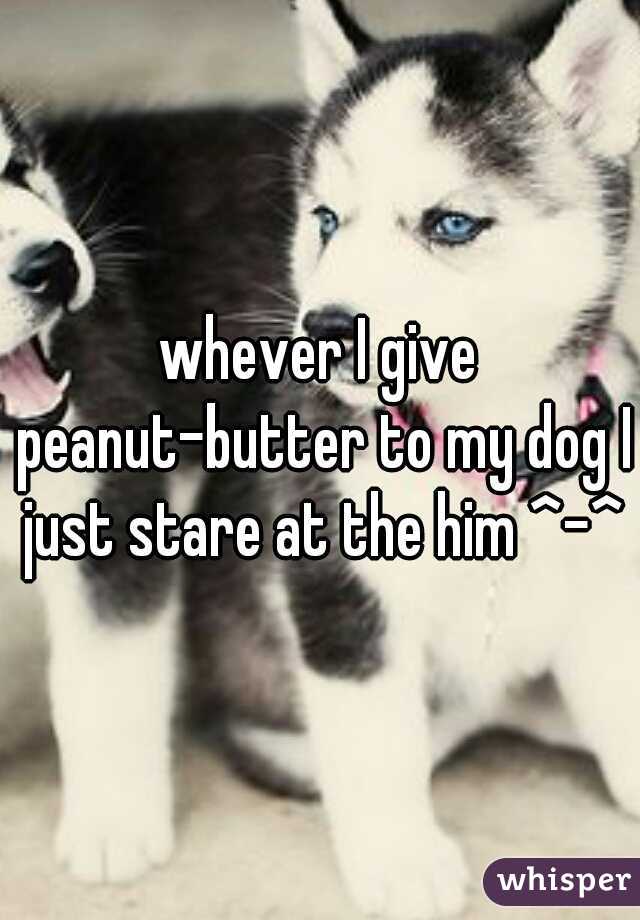 whever I give peanut-butter to my dog I just stare at the him ^-^