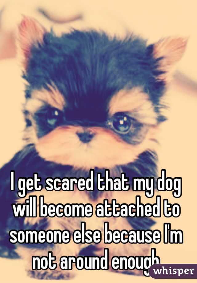 I get scared that my dog will become attached to someone else because I'm not around enough