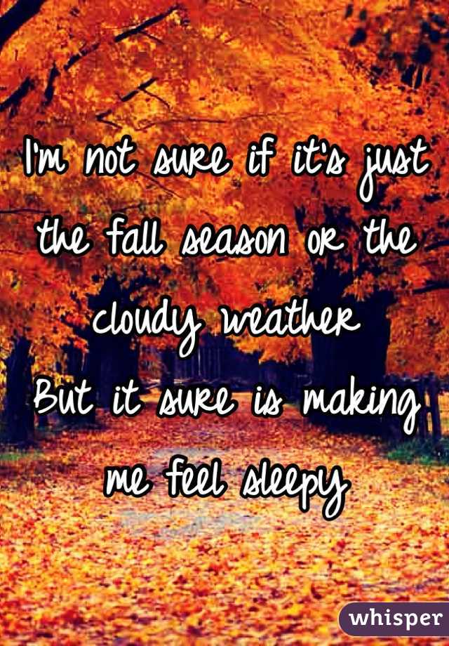 I'm not sure if it's just the fall season or the cloudy weather 
But it sure is making me feel sleepy