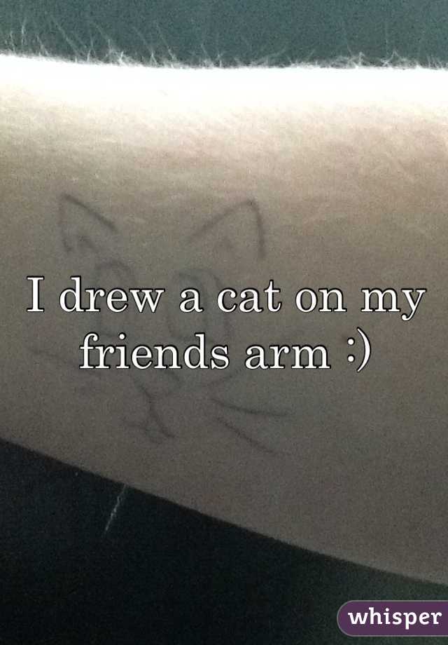 I drew a cat on my friends arm :)