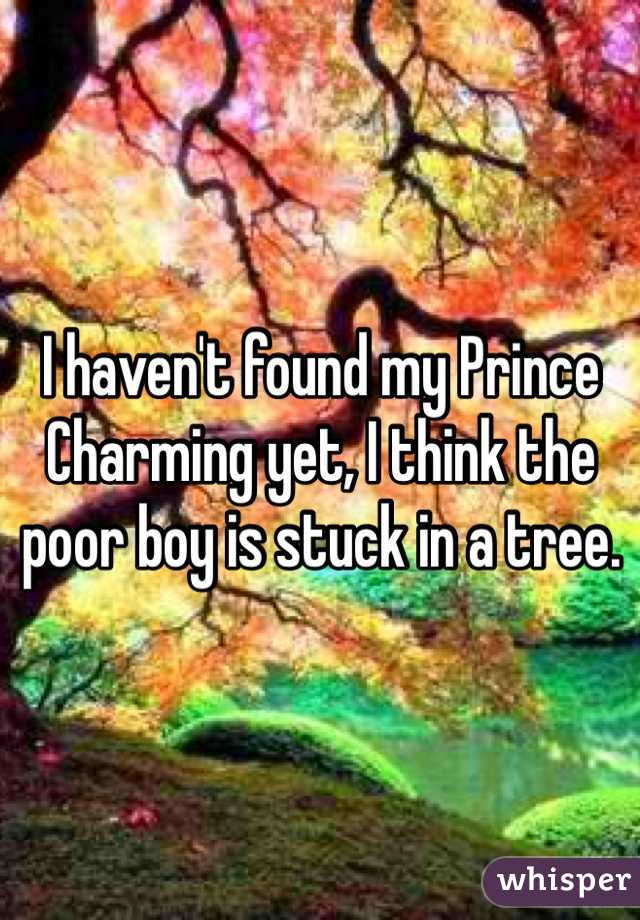I haven't found my Prince Charming yet, I think the poor boy is stuck in a tree. 