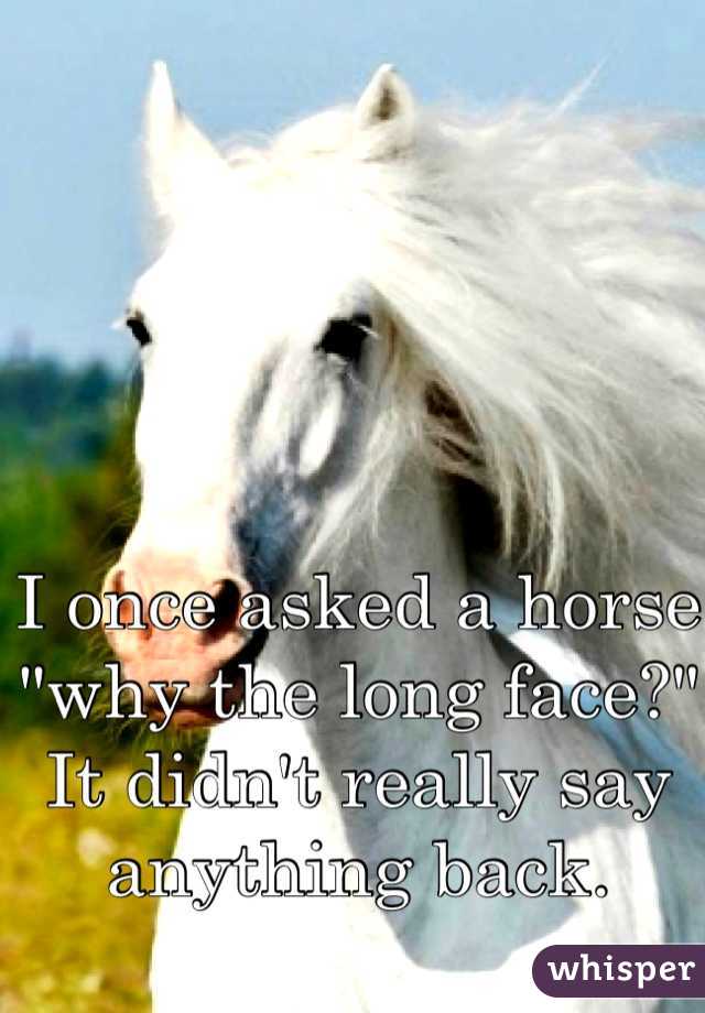 I once asked a horse "why the long face?" It didn't really say anything back.