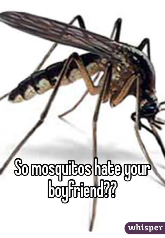 So mosquitos hate your boyfriend??