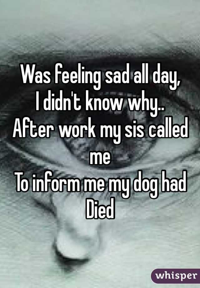 Was feeling sad all day, 
I didn't know why..
After work my sis called me 
To inform me my dog had
Died 
