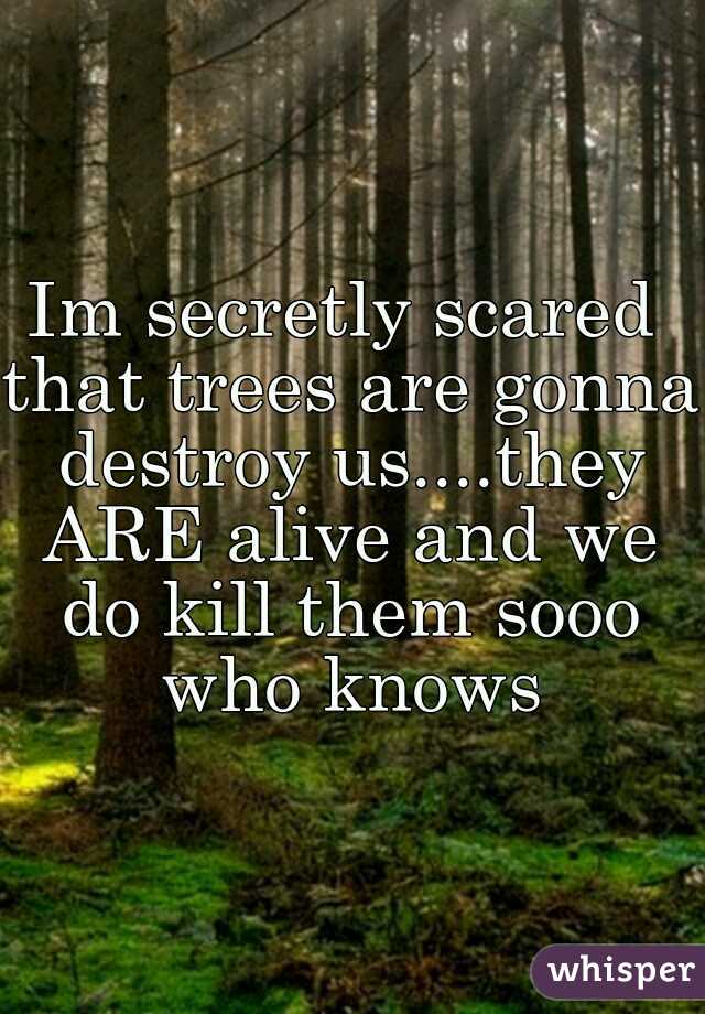 Im secretly scared that trees are gonna destroy us....they ARE alive and we do kill them sooo who knows