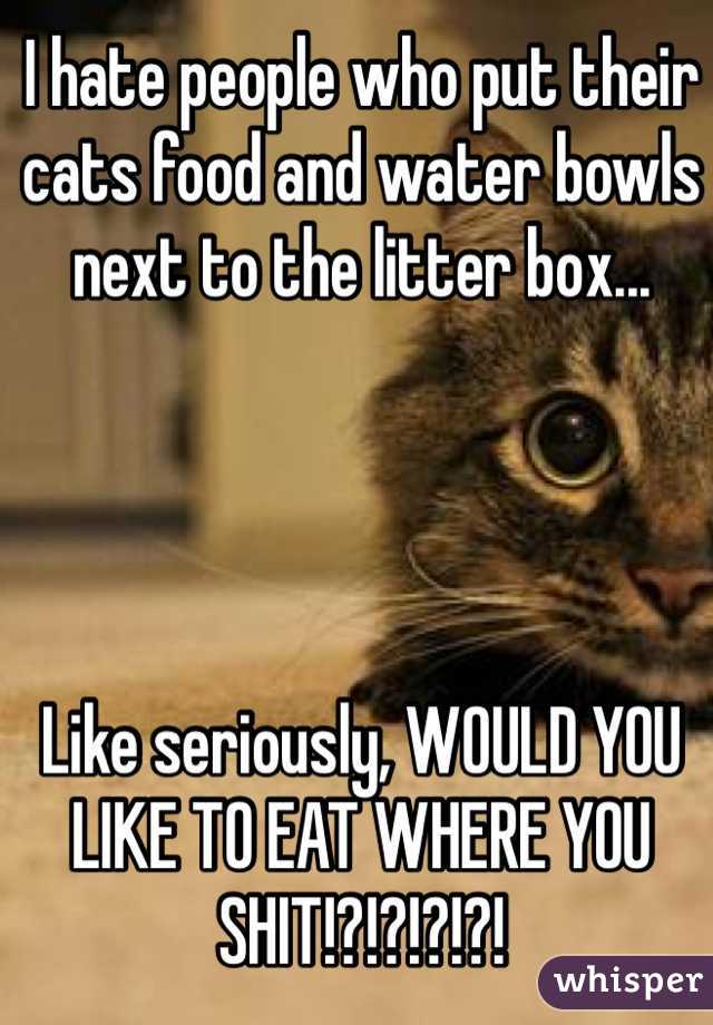 I hate people who put their cats food and water bowls next to the litter box... 




Like seriously, WOULD YOU LIKE TO EAT WHERE YOU SHIT!?!?!?!?! 
