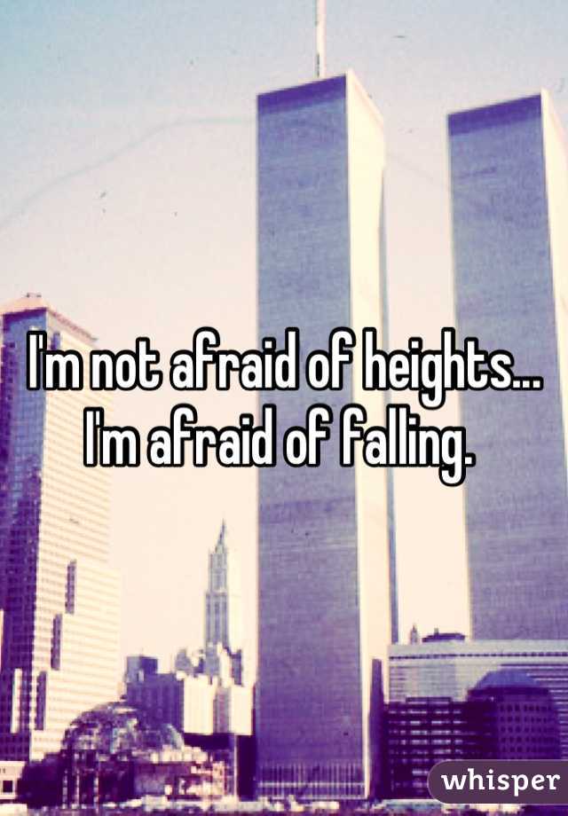 I'm not afraid of heights... I'm afraid of falling. 