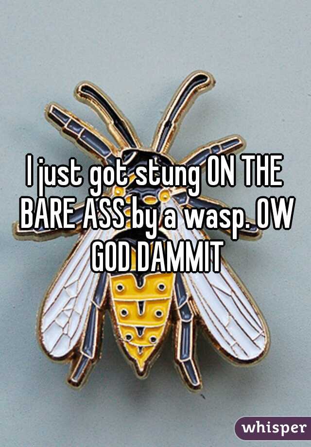 I just got stung ON THE BARE ASS by a wasp. OW GOD DAMMIT