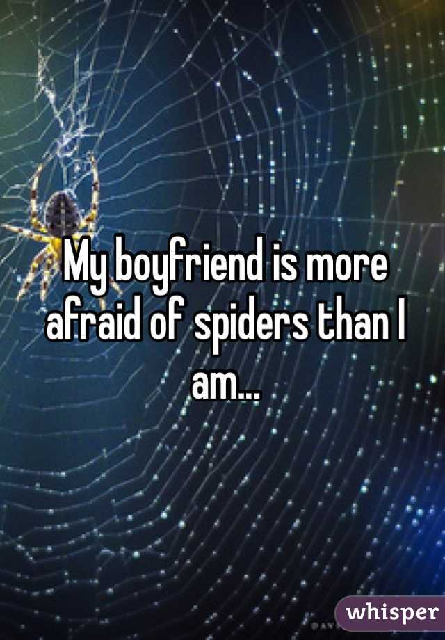 My boyfriend is more
afraid of spiders than I am...
