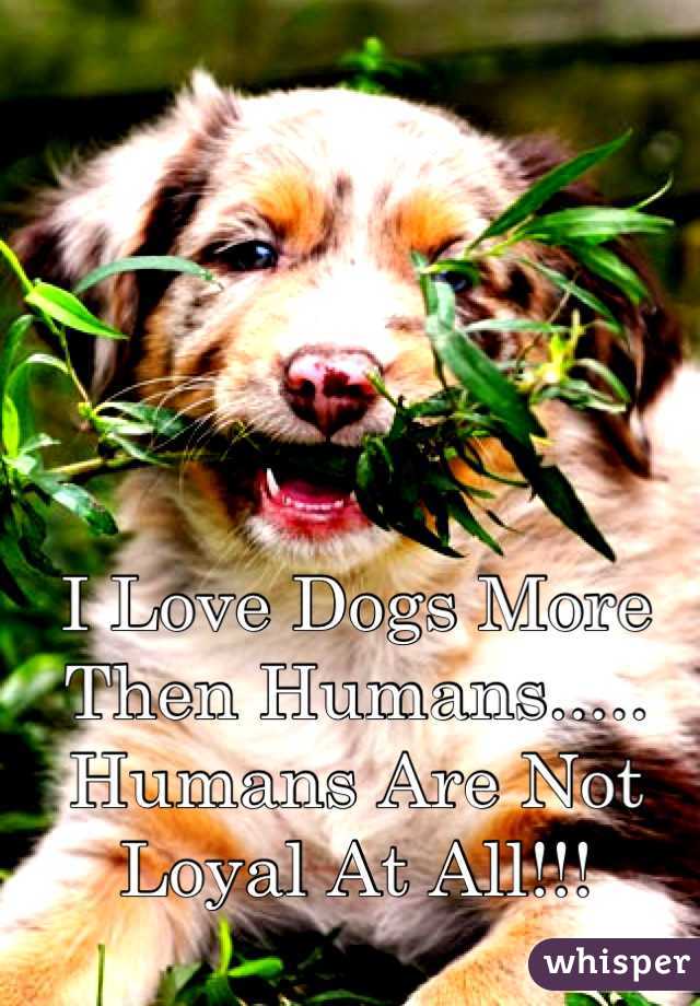 I Love Dogs More Then Humans..... 
Humans Are Not Loyal At All!!!