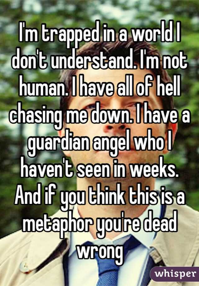 I'm trapped in a world I don't understand. I'm not human. I have all of hell chasing me down. I have a guardian angel who I haven't seen in weeks. 
And if you think this is a metaphor you're dead wrong