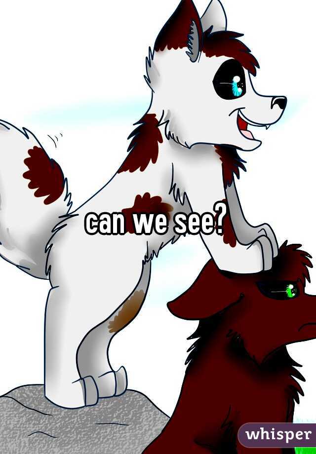 can we see?