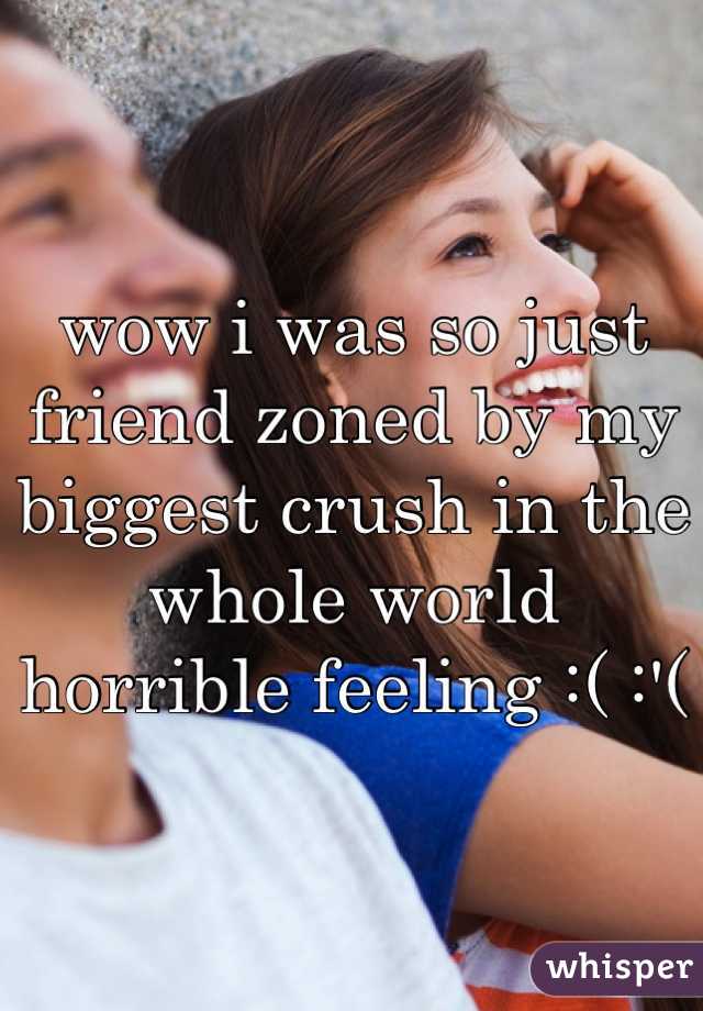 wow i was so just friend zoned by my biggest crush in the whole world 
horrible feeling :( :'(