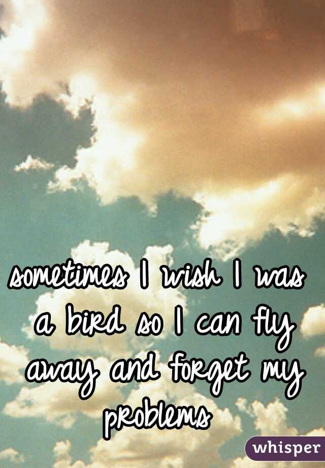sometimes I wish I was a bird so I can fly away and forget my problems 