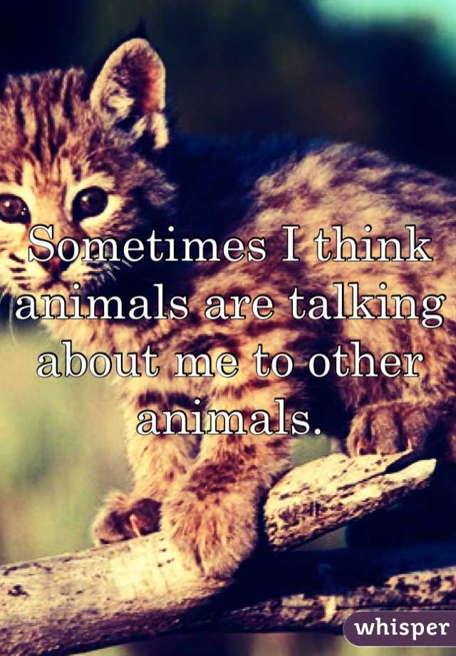 Sometimes I think animals are talking about me to other animals. 