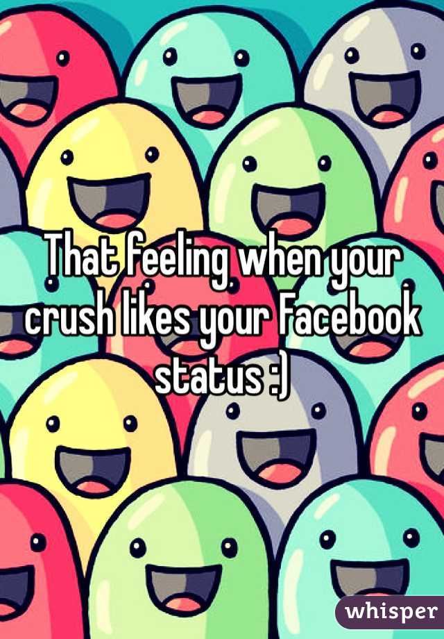 That feeling when your crush likes your Facebook status :) 