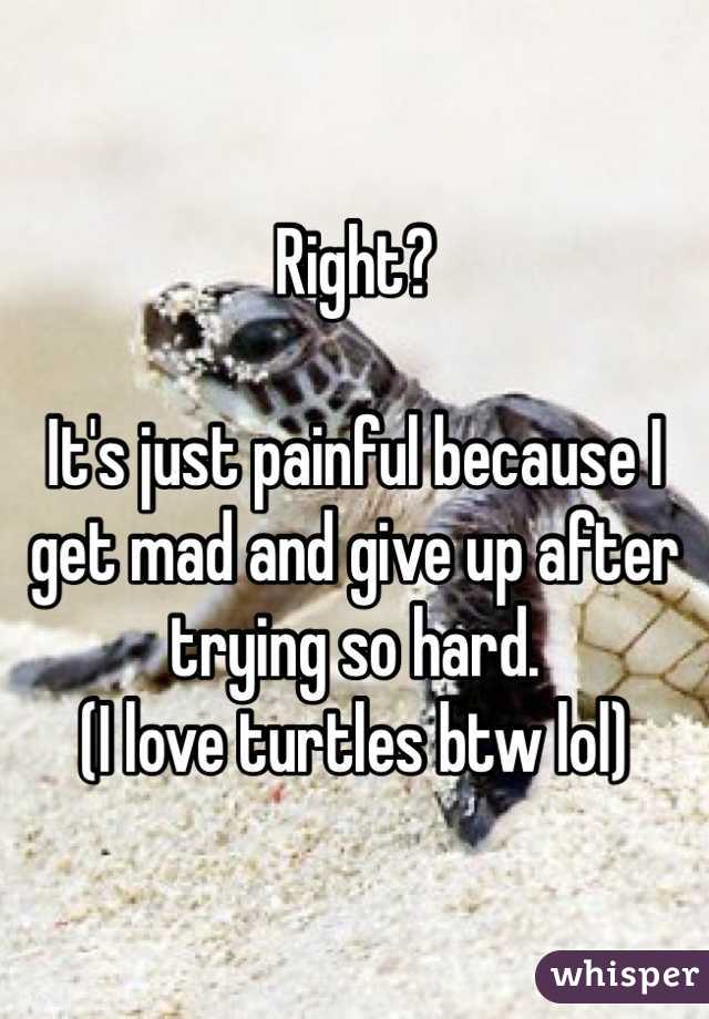 Right?

It's just painful because I get mad and give up after trying so hard.
(I love turtles btw lol)