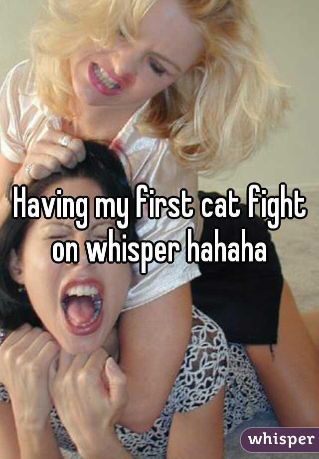 Having my first cat fight on whisper hahaha 