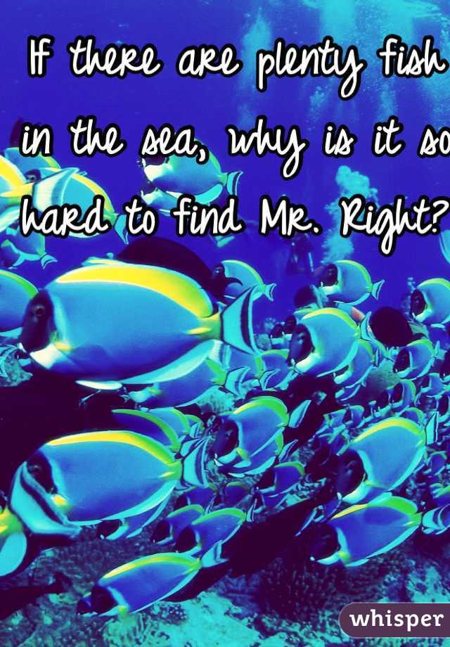 If there are plenty fish in the sea, why is it so hard to find Mr. Right? 