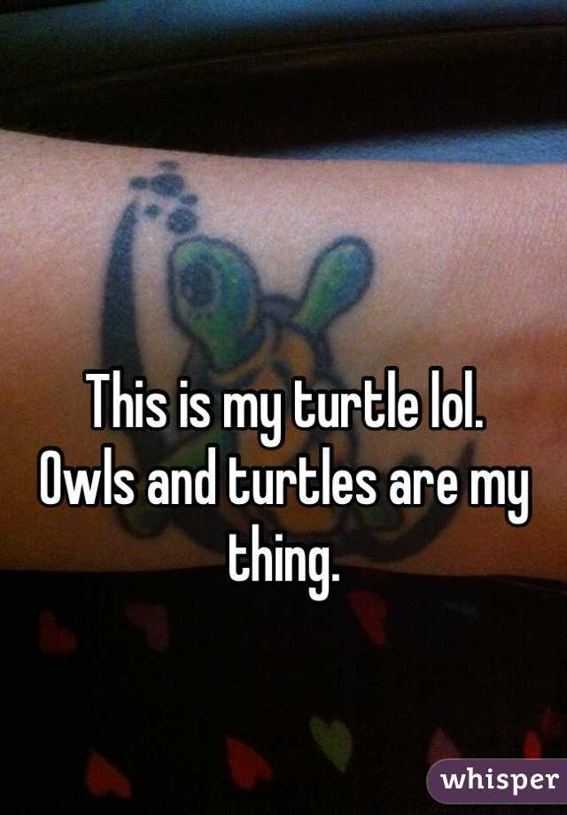 


This is my turtle lol.
Owls and turtles are my thing.

