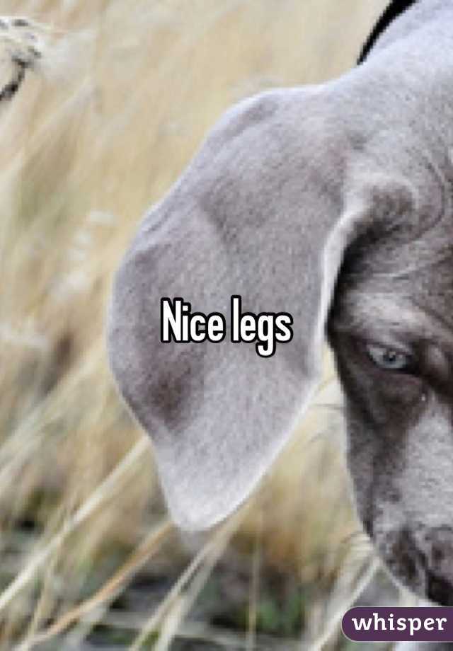 Nice legs 