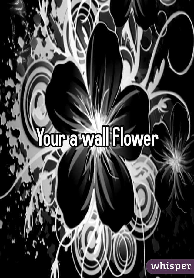 Your a wall flower