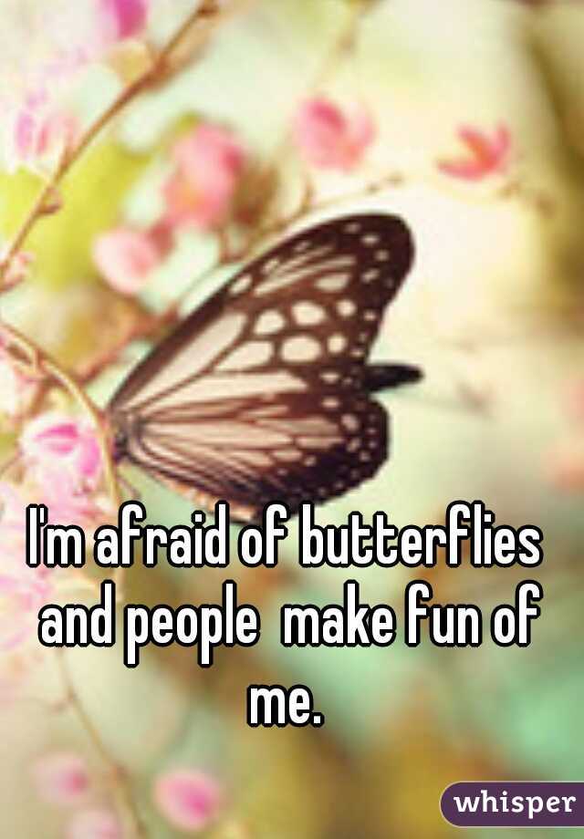 I'm afraid of butterflies and people  make fun of me. 