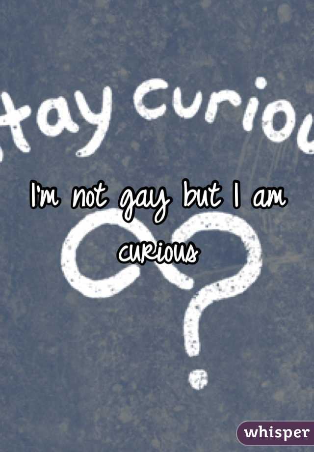 I'm not gay but I am curious
