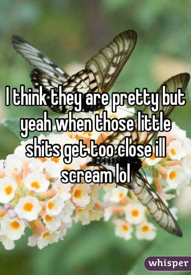 I think they are pretty but yeah when those little shits get too close ill scream lol