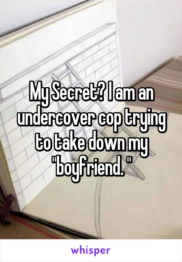 My Secret? I am an undercover cop trying to take down my "boyfriend. "