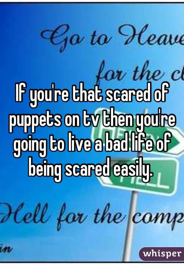 If you're that scared of puppets on tv then you're going to live a bad life of being scared easily. 