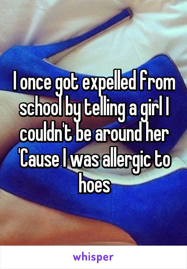 I once got expelled from school by telling a girl I couldn't be around her 'Cause I was allergic to hoes