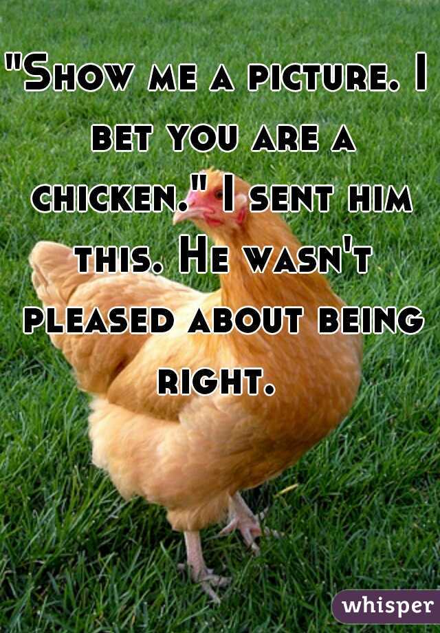 "Show me a picture. I bet you are a chicken." I sent him this. He wasn't pleased about being right. 