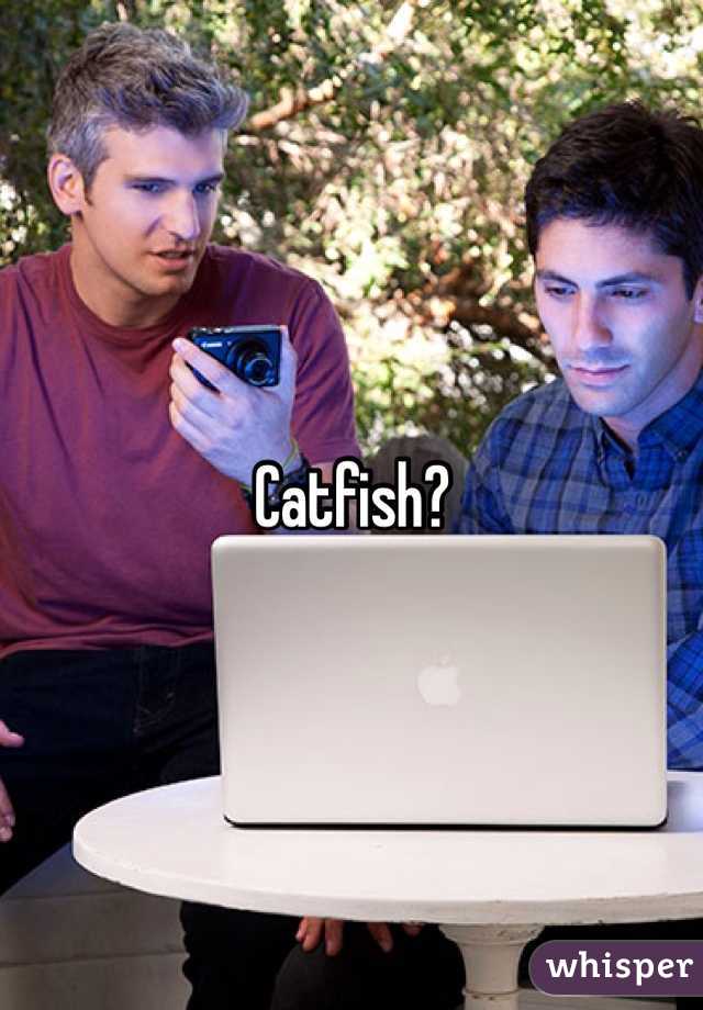Catfish?