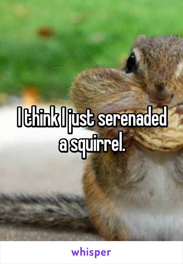 I think I just serenaded a squirrel.