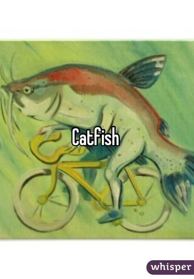 Catfish 

