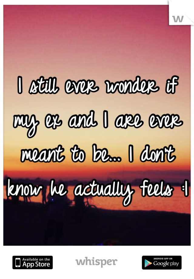 I still ever wonder if my ex and I are ever meant to be... I don't know he actually feels :|