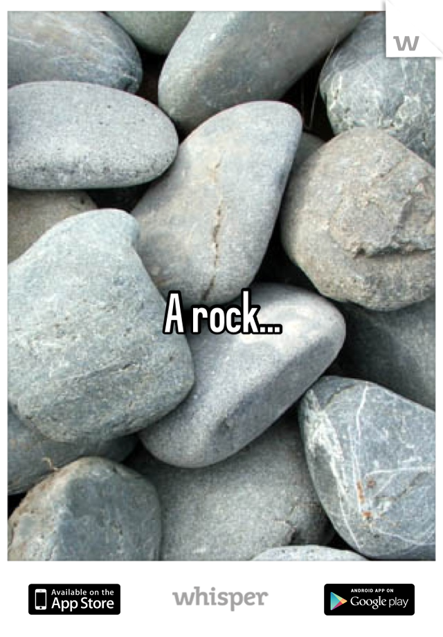 A rock...