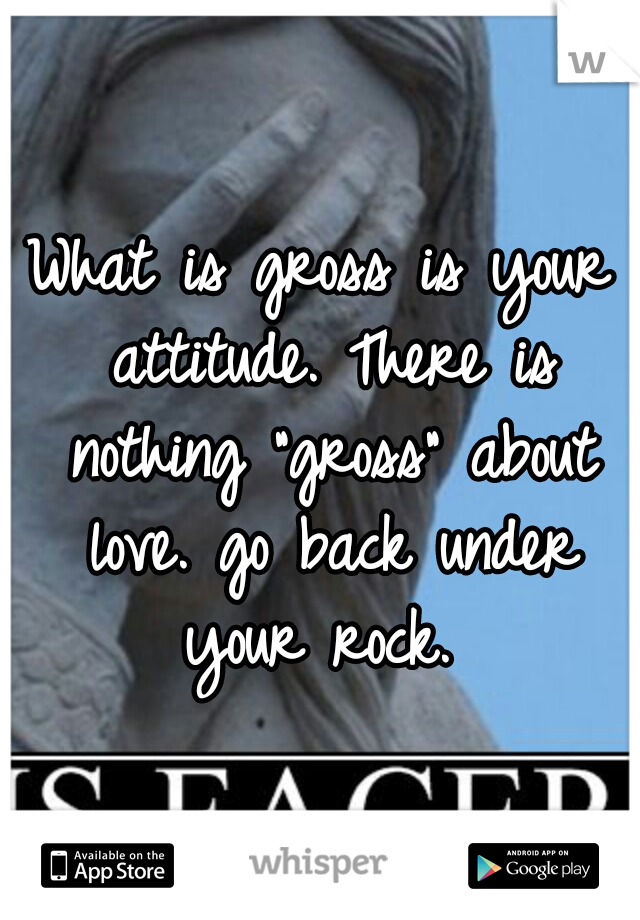 What is gross is your attitude. There is nothing "gross" about love. go back under your rock. 