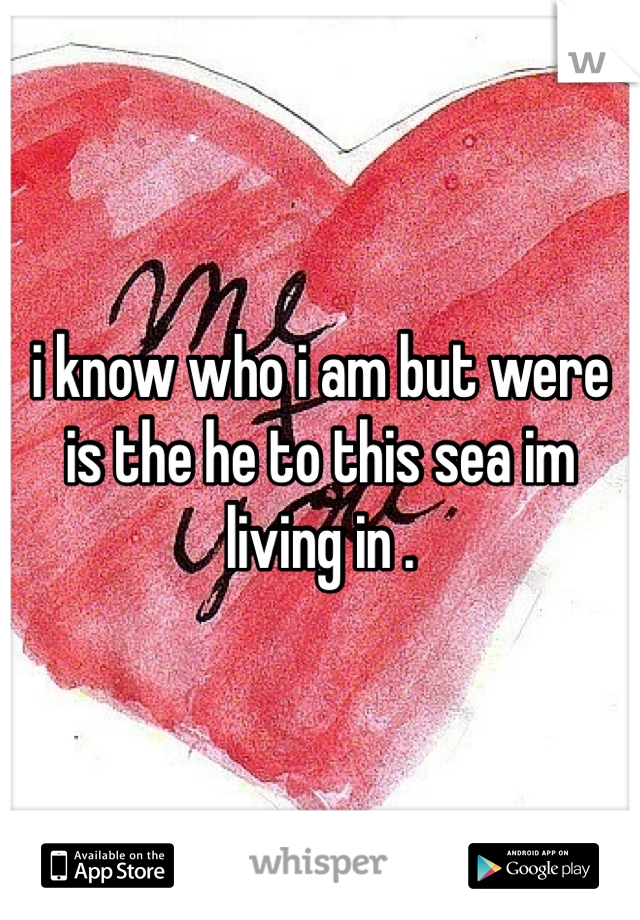 i know who i am but were is the he to this sea im living in .