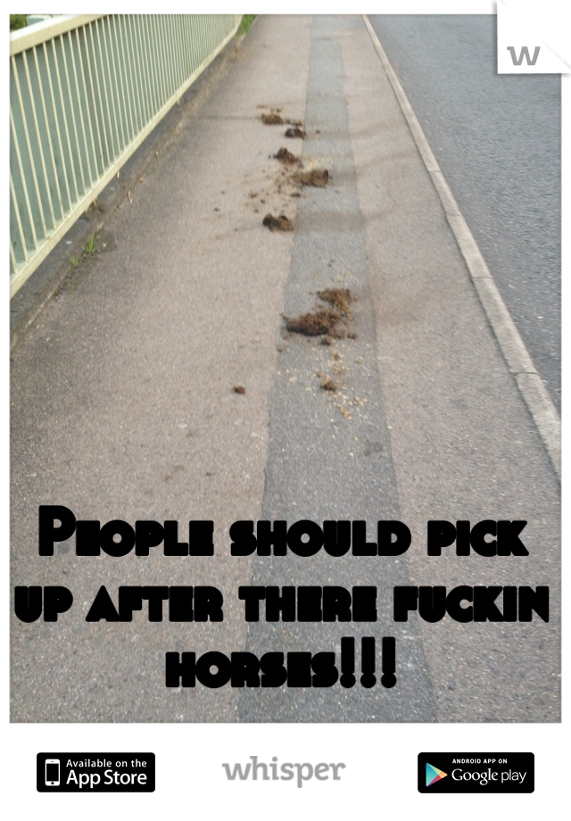 People should pick up after there fuckin horses!!!