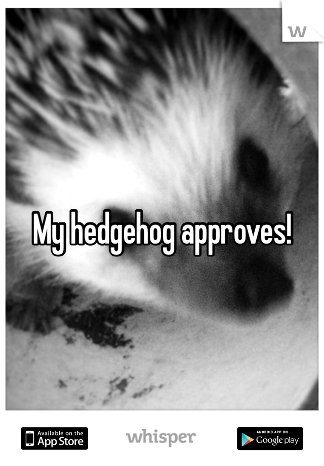 My hedgehog approves!