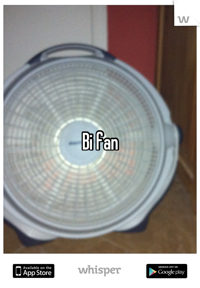 Bi fan